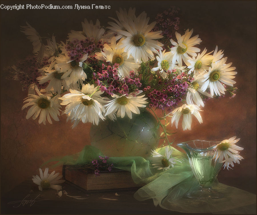 Plant, Potted Plant, Floral Design, Flower, Flower Arrangement, Flower Bouquet, Ikebana