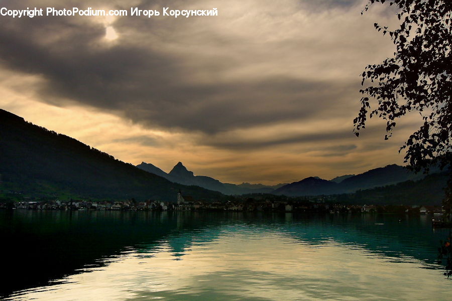 Plant, Potted Plant, Lake, Outdoors, Water, Mountain, Tree