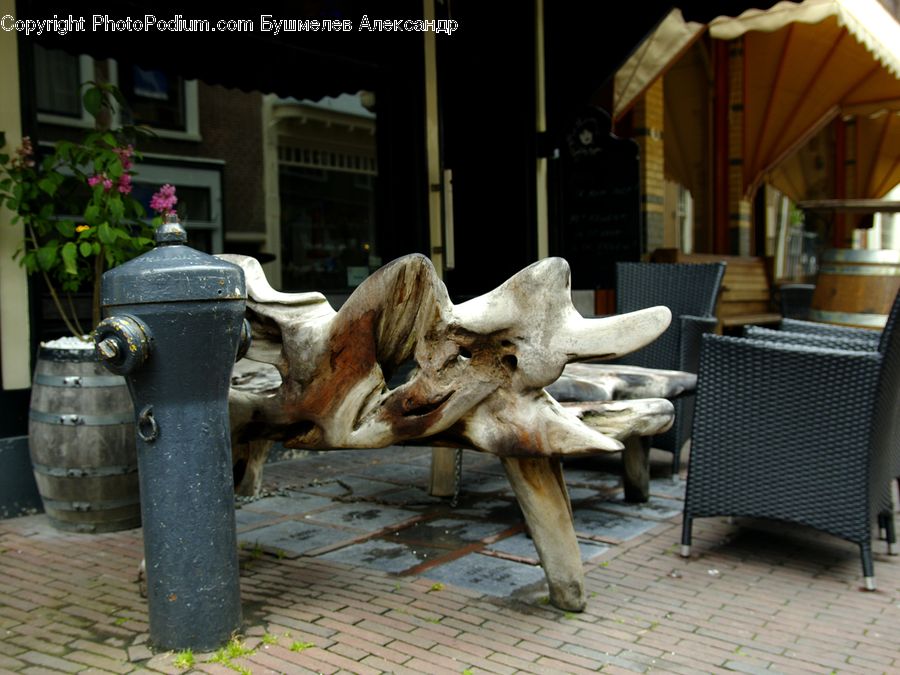 Animal, Bongo, Percussion, Plant, Potted Plant, Pot, Pottery