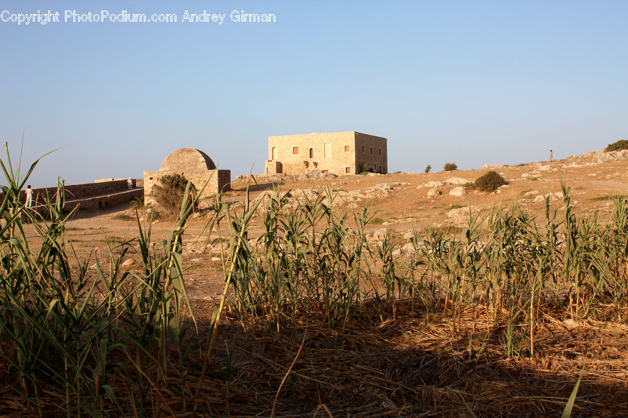 Castle, Fort, Field, Grass, Grassland, Plant, Grain