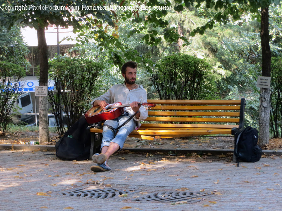 People, Person, Human, Plant, Potted Plant, Park Bench, Tree