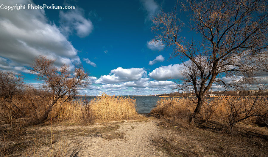 Dirt Road, Gravel, Road, Landscape, Nature, Scenery, Field