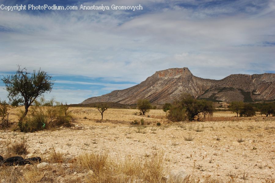 Desert, Outdoors, Mesa, Wilderness, Field, Grass, Grassland