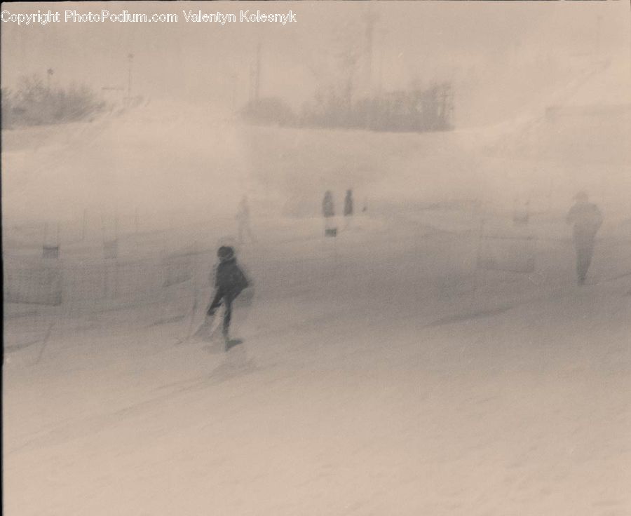 Blizzard, Outdoors, Snow, Weather, Winter, Ice
