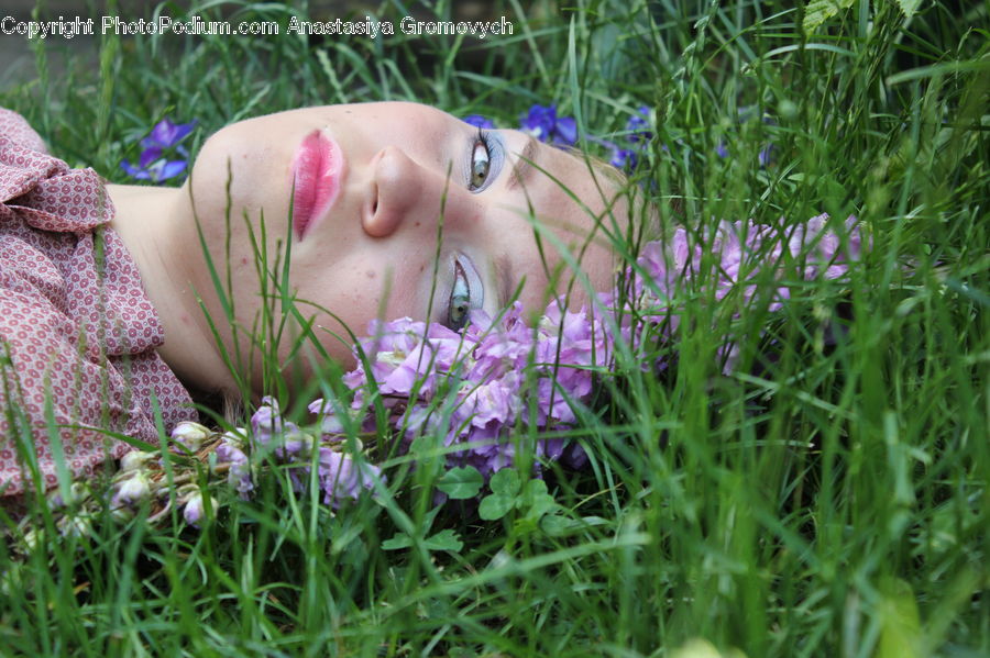 Blossom, Crocus, Flora, Flower, Plant, Field, Grass
