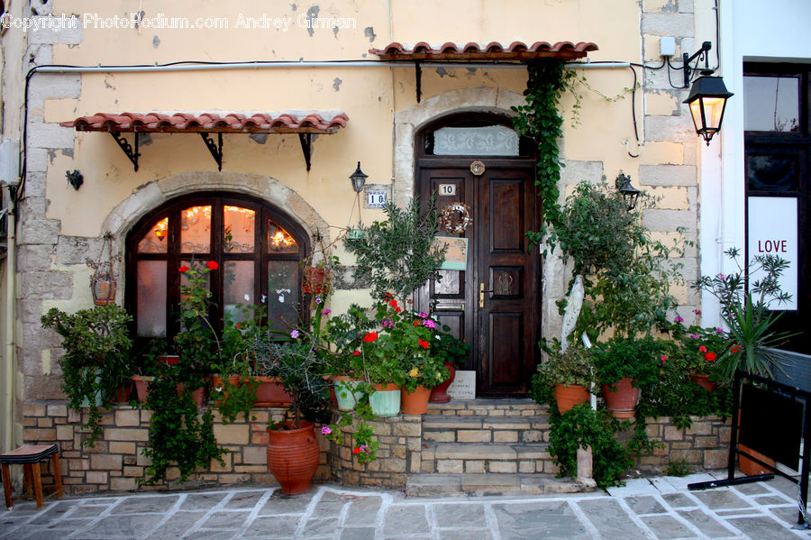 Patio, Plant, Potted Plant, Pot, Pottery, Ivy, Vine