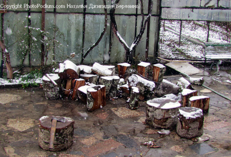 Rubble, Rust, Chair, Furniture, Agaric, Amanita, Fungus