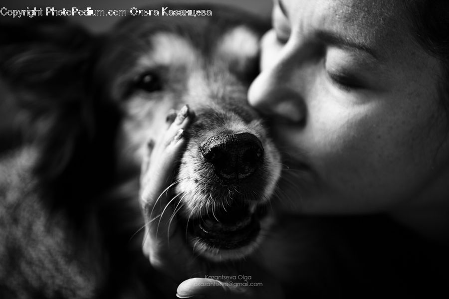 Animal, Person, Portrait, Adorable
