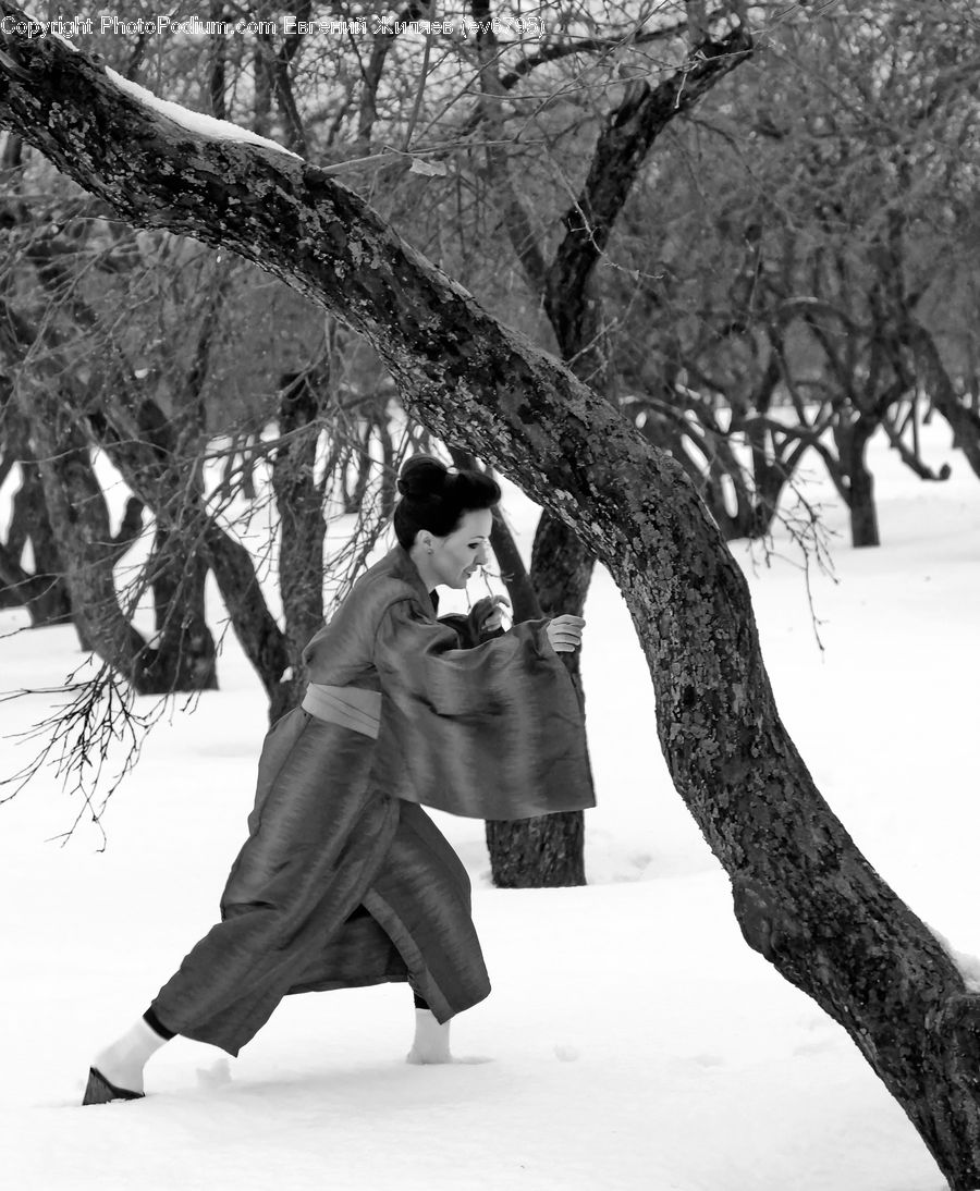 People, Person, Human, Oak, Tree, Wood, Plant