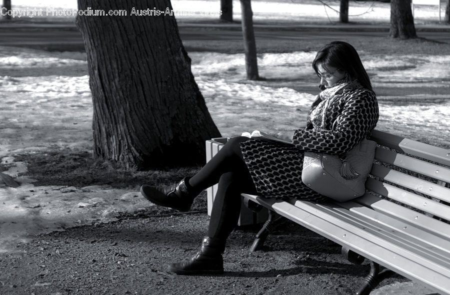 Bench, Person, Portrait, Female, Woman