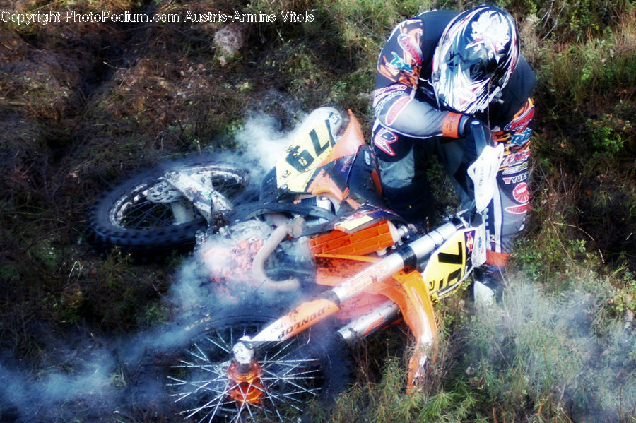 Atv, Motocross, Motorcycle, Plant, Vegetation, Forest, Jungle