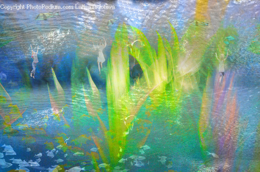 Water, Art, Field, Grass, Grassland, Plant, Land