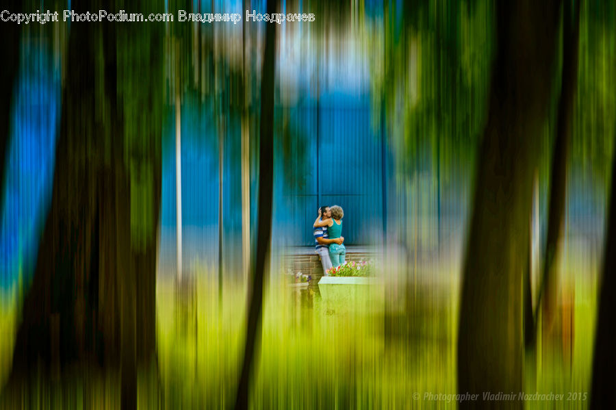Bamboo, Plant, Wood, Field, Grass, Grassland, Leisure Activities