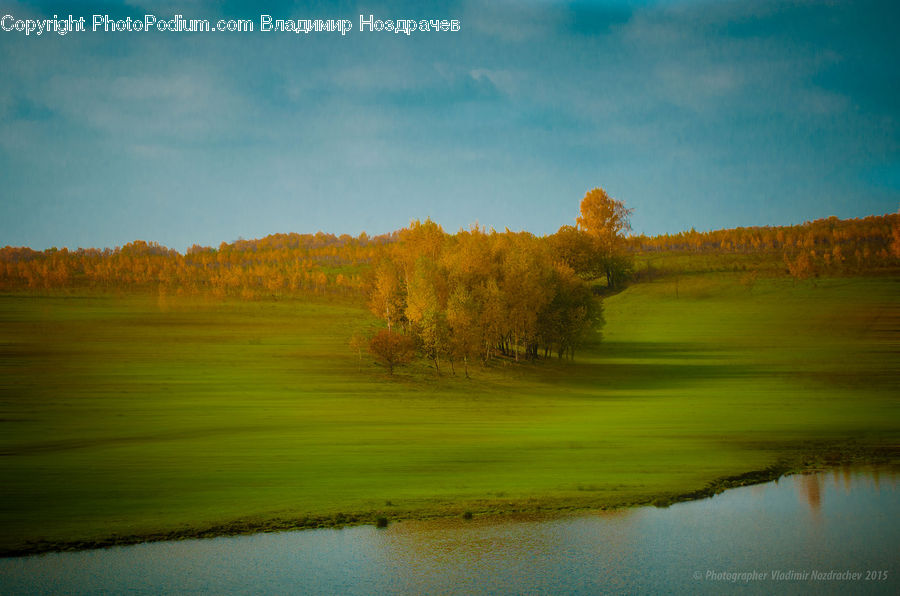 Golf Course, Grassland, Field, Grass, Land, Outdoors, Plant