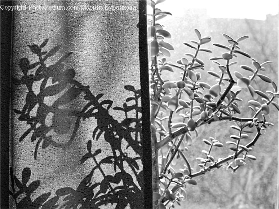 Blossom, Flora, Flower, Plant, Tree, Home Decor, Linen