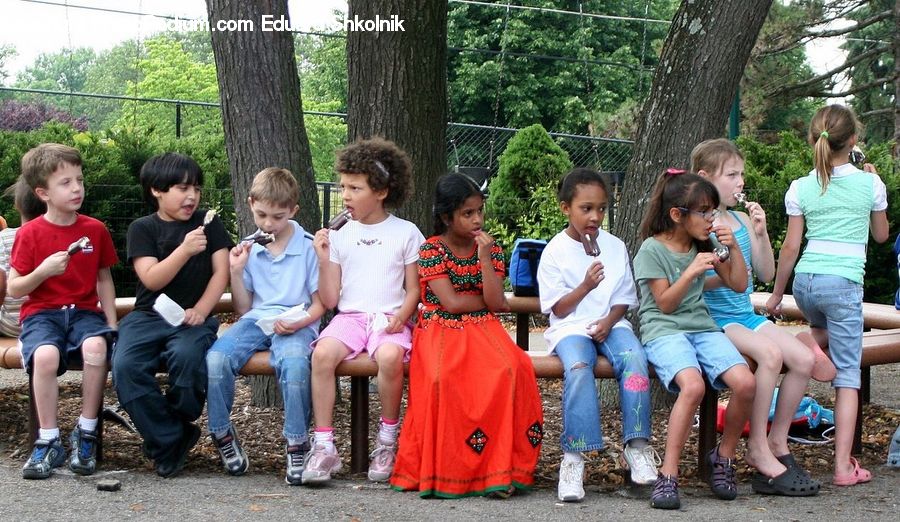 People, Person, Human, Park, Outdoors, Forest, Vegetation