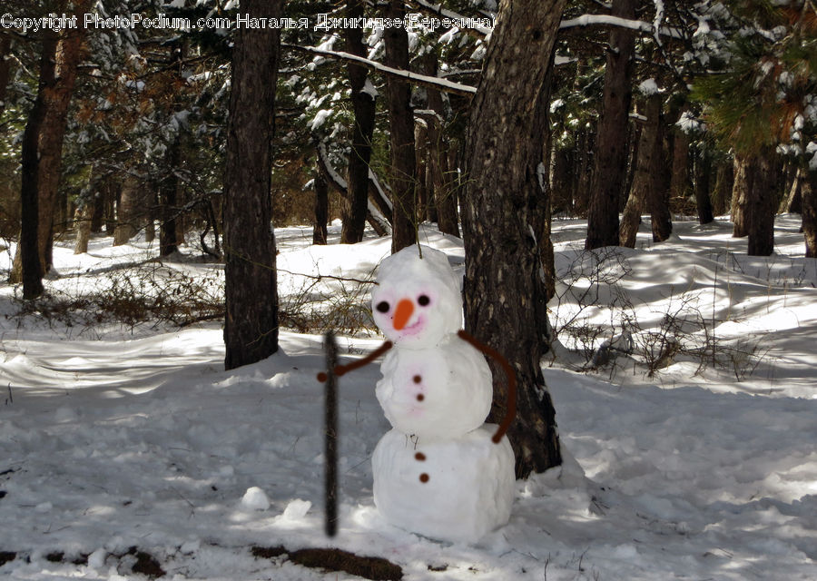 Ice, Snow, Snowman, Winter, Boardwalk, Path, Pavement