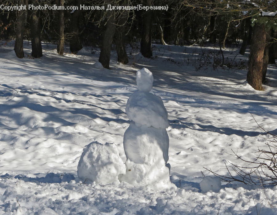 Ice, Snow, Snowman, Winter, Plant, Tree, Oak