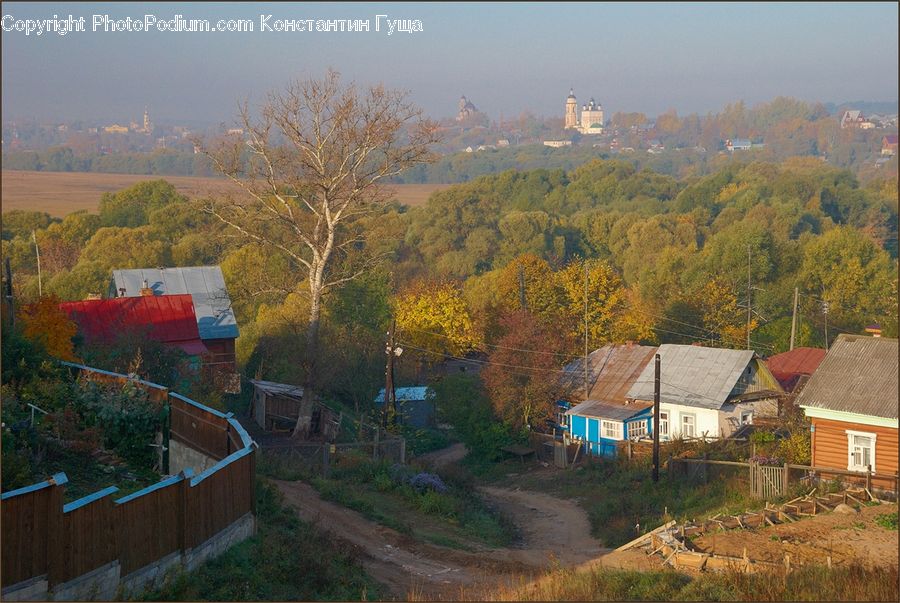 Building, Cottage, Housing, Roof, Cabin, Hut, Rural