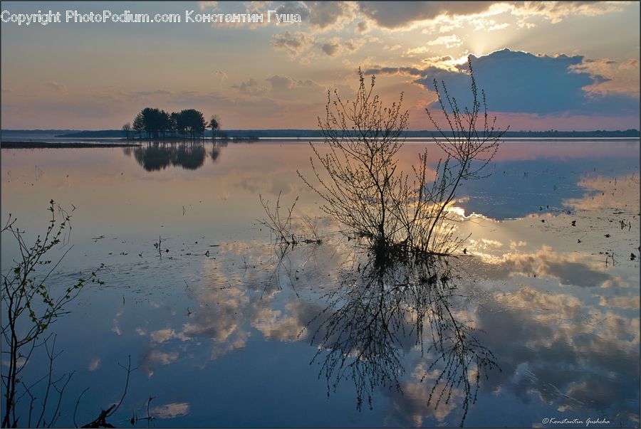 Flood, Dawn, Dusk, Sky, Sunrise, Sunset, Dock