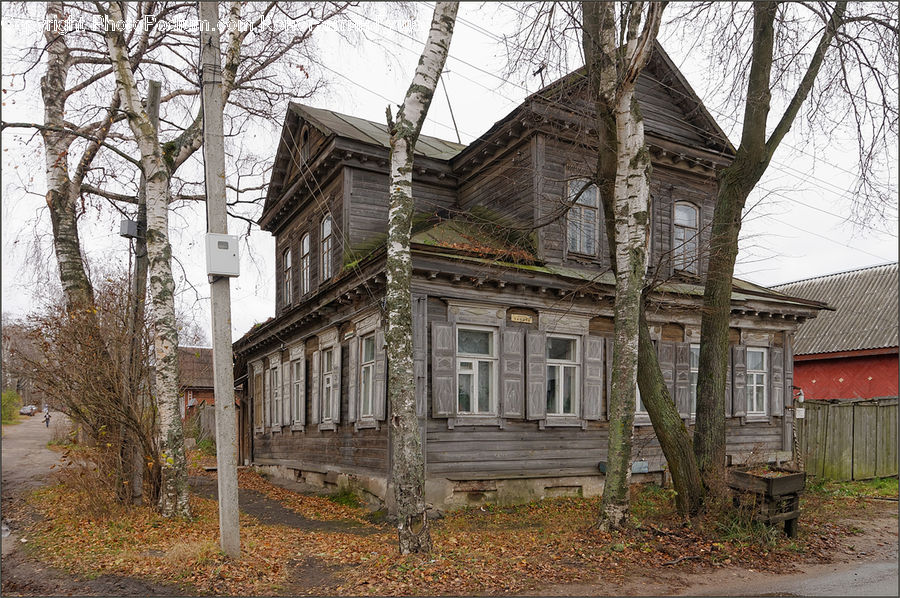 Building, House, Housing, Architecture, Mansion, Cottage, Ivy