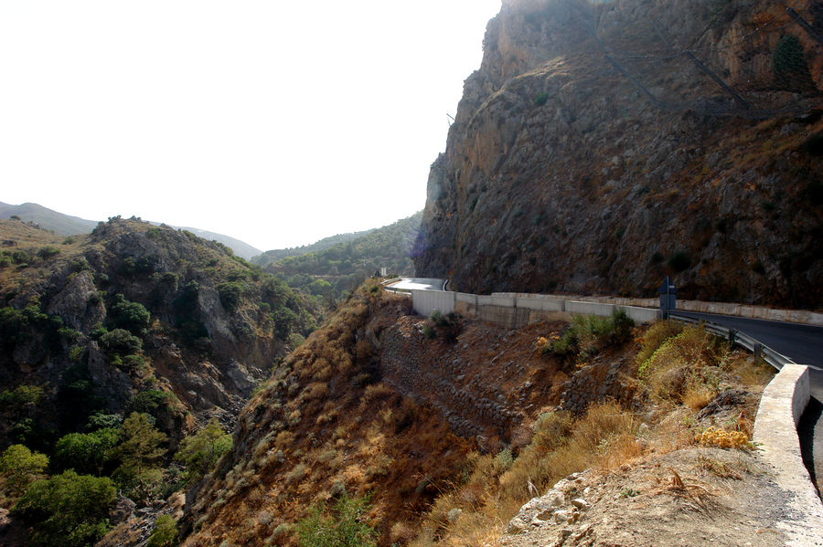Landslide, Forest, Jungle, Rainforest, Vegetation, Cliff, Outdoors