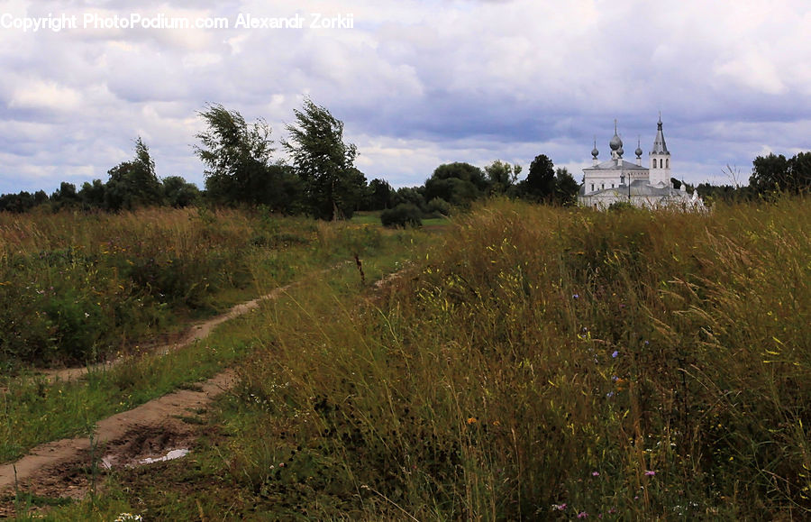 Field, Grass, Grassland, Land, Outdoors, Architecture, Church