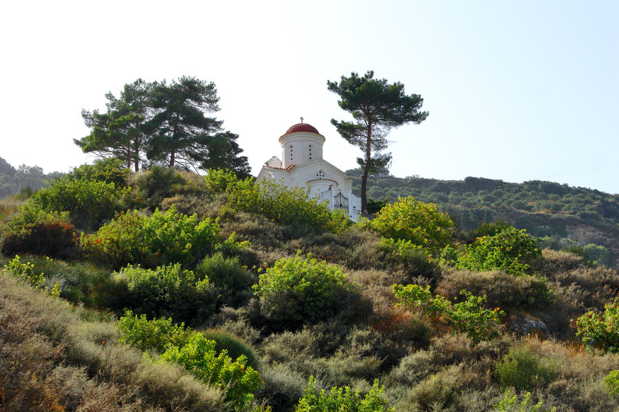 Beacon, Building, Lighthouse, Water Tower, Plant, Vegetation, Bush