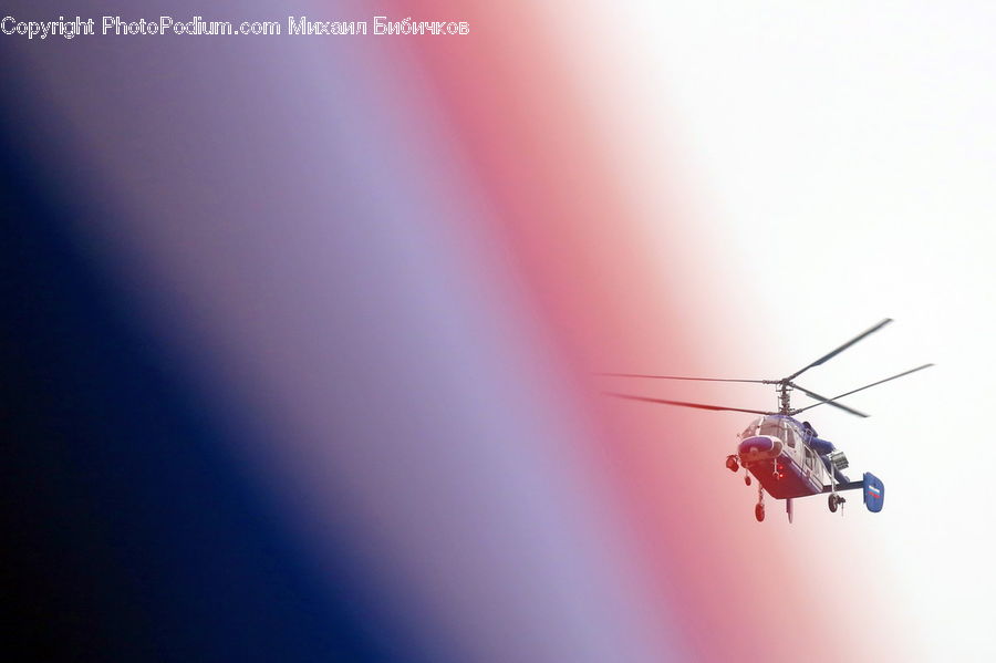 Insect, Invertebrate, Mosquito, Aircraft, Helicopter, Flying