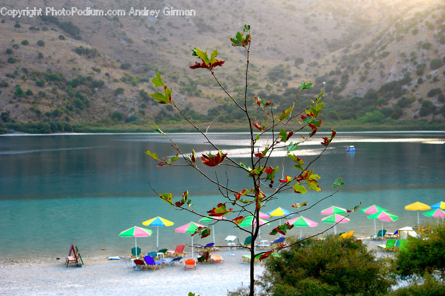 Camping, Hotel, Resort, Beach, Coast, Outdoors, Sea