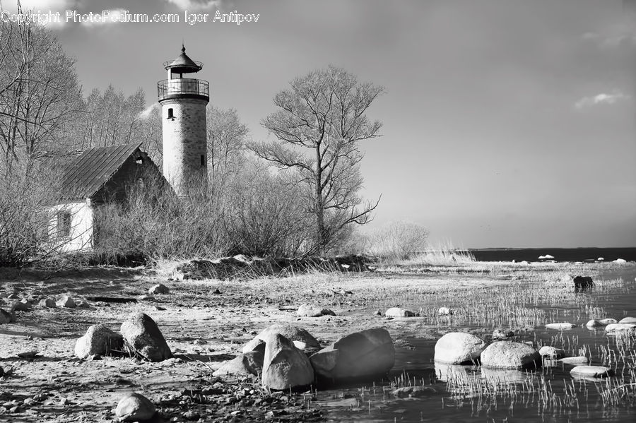 Beacon, Building, Lighthouse, Water Tower, Rock, Coast, Outdoors