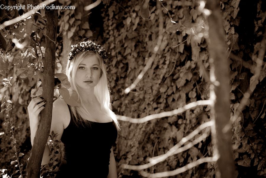Human, People, Person, Ivy, Plant, Vine, Birch
