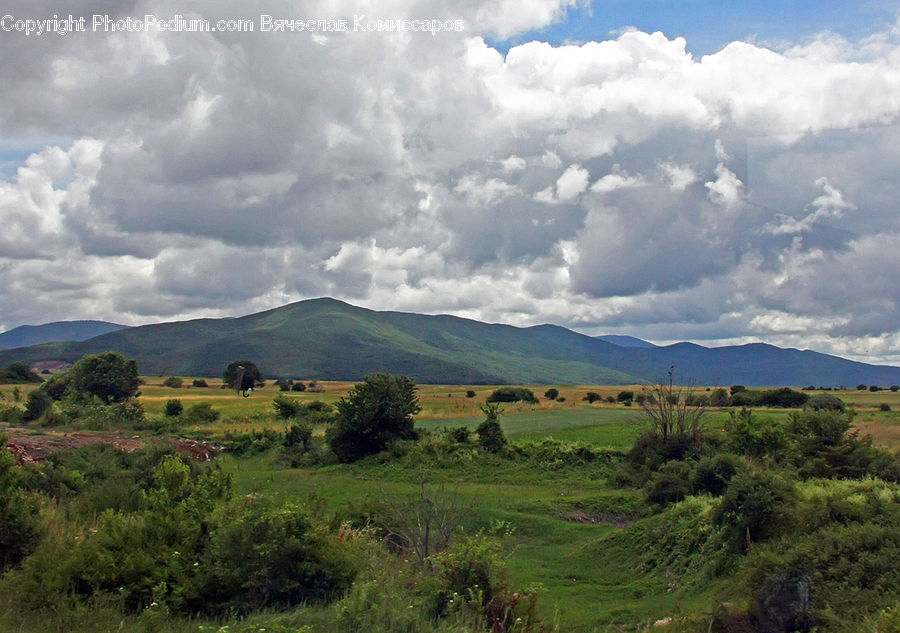 Field, Grass, Grassland, Land, Outdoors, Cloud, Cumulus
