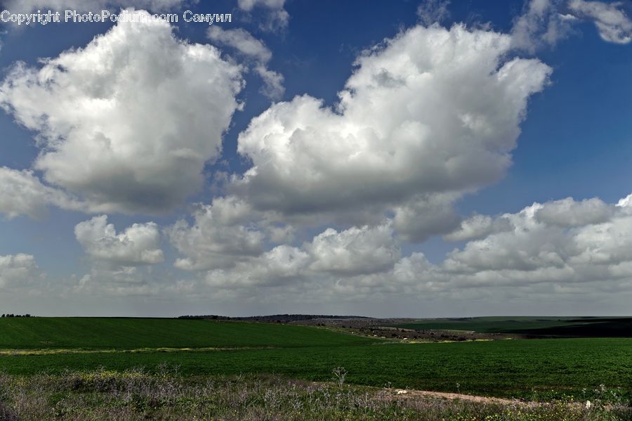 Cloud, Cumulus, Sky, Azure Sky, Outdoors, Field, Grass