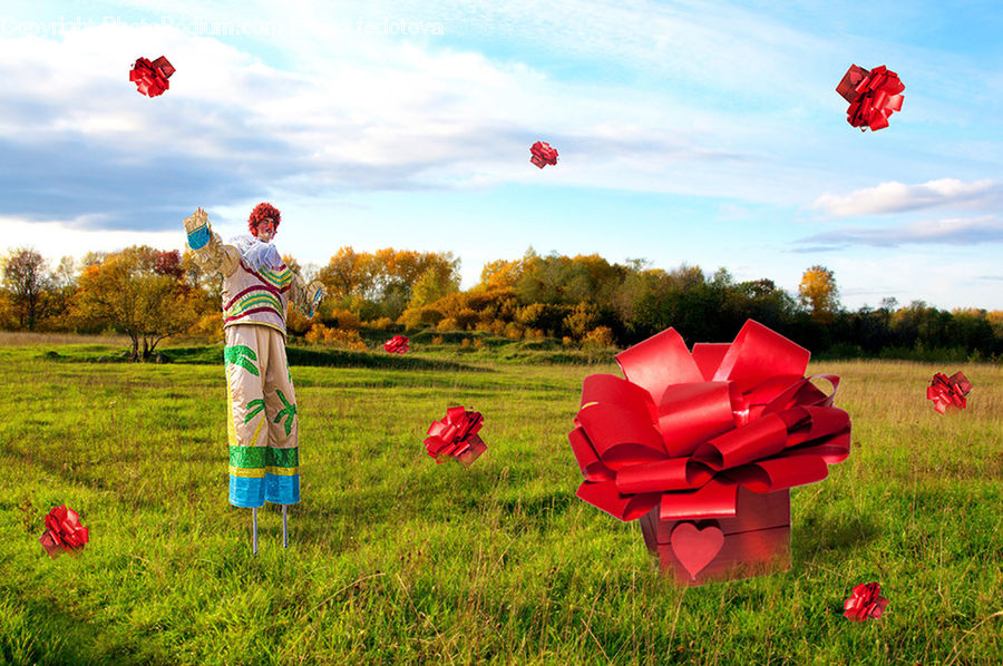 People, Person, Human, Gift, Ball, Balloon, Blossom