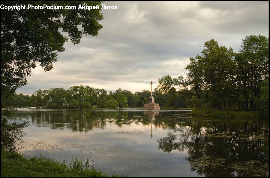 Land, Marsh, Outdoors, Swamp, Water, Pond, Blossom