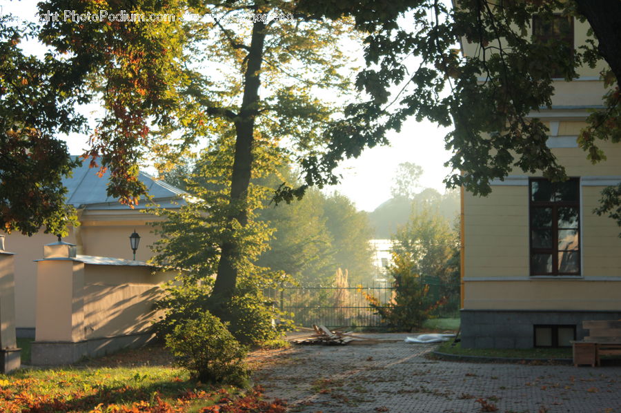 Building, Cottage, Housing, Flare, Light, Sunlight, Yard