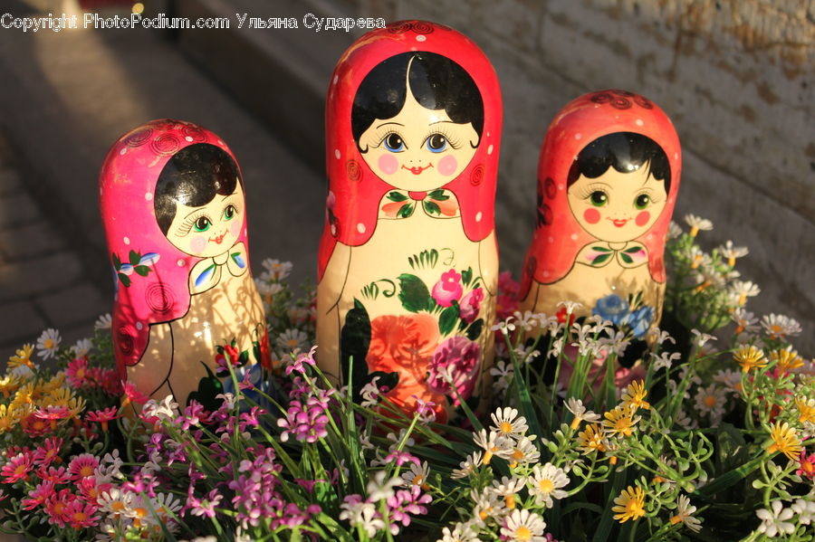 Asteraceae, Blossom, Flora, Flower, Plant, Aster, Flower Arrangement