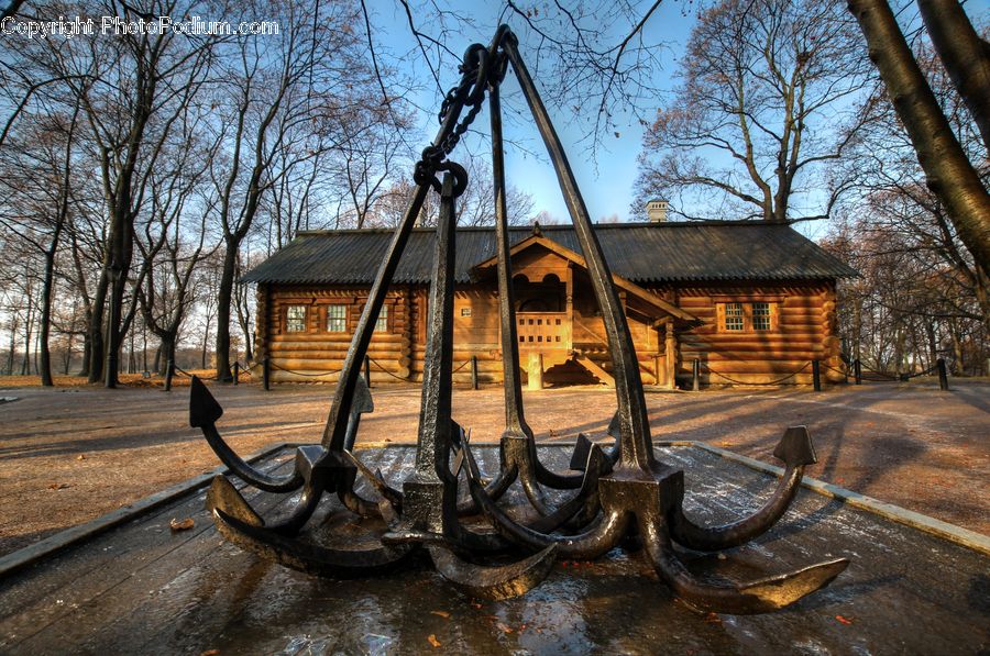 Anchor, Hook, Park, Plant, Tree, Landscape, Nature