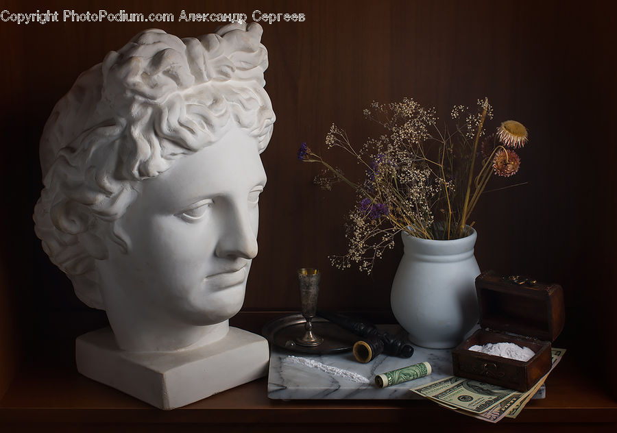 People, Person, Human, Plant, Potted Plant, Bust, Figurine