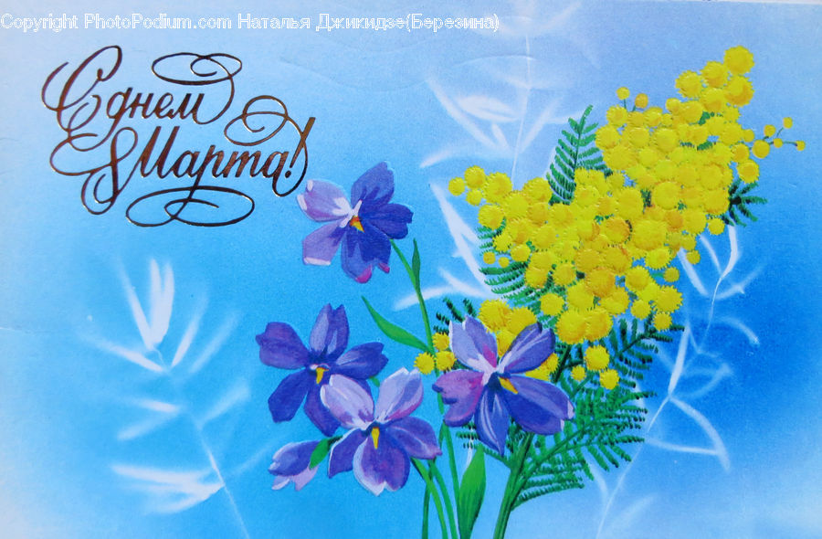 Floral Design, Calligraphy, Handwriting, Text, Blossom, Flora, Flower