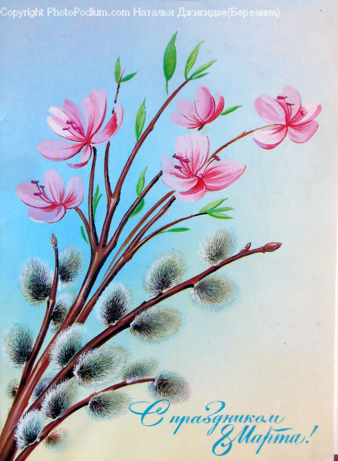 Greeting Card, Mail