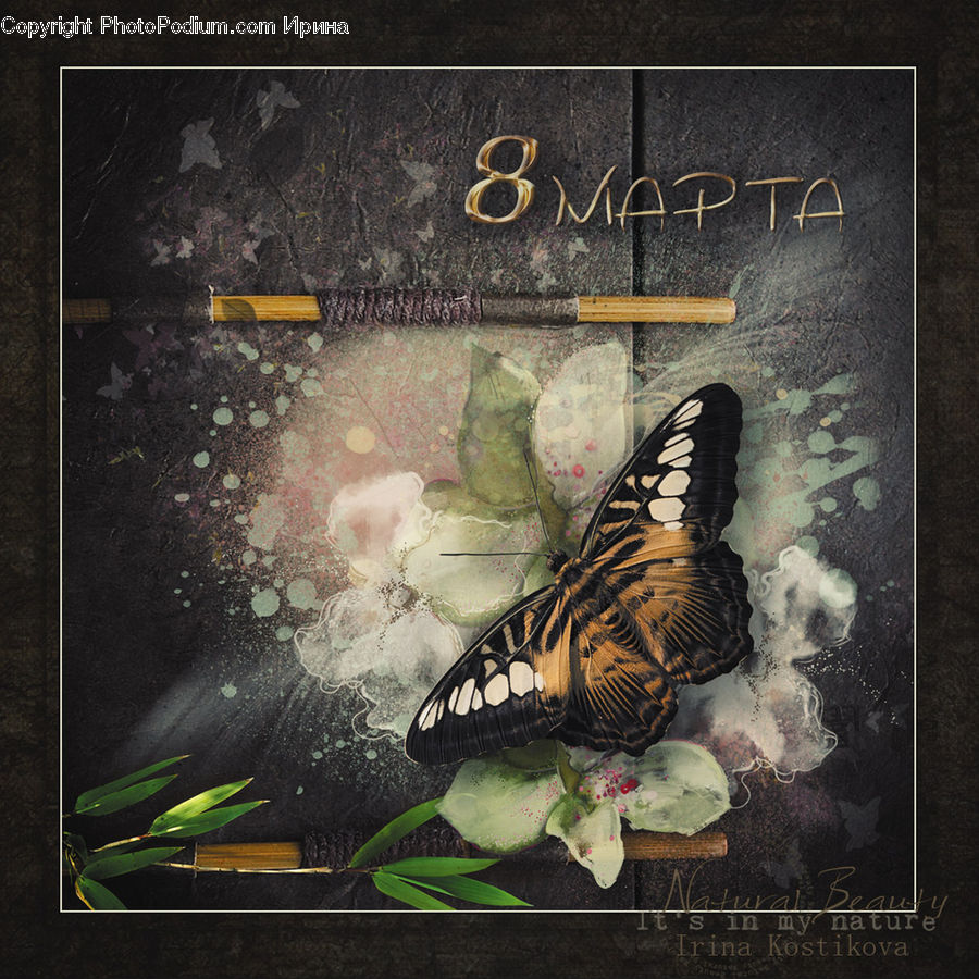 Butterfly, Insect, Invertebrate, Monarch