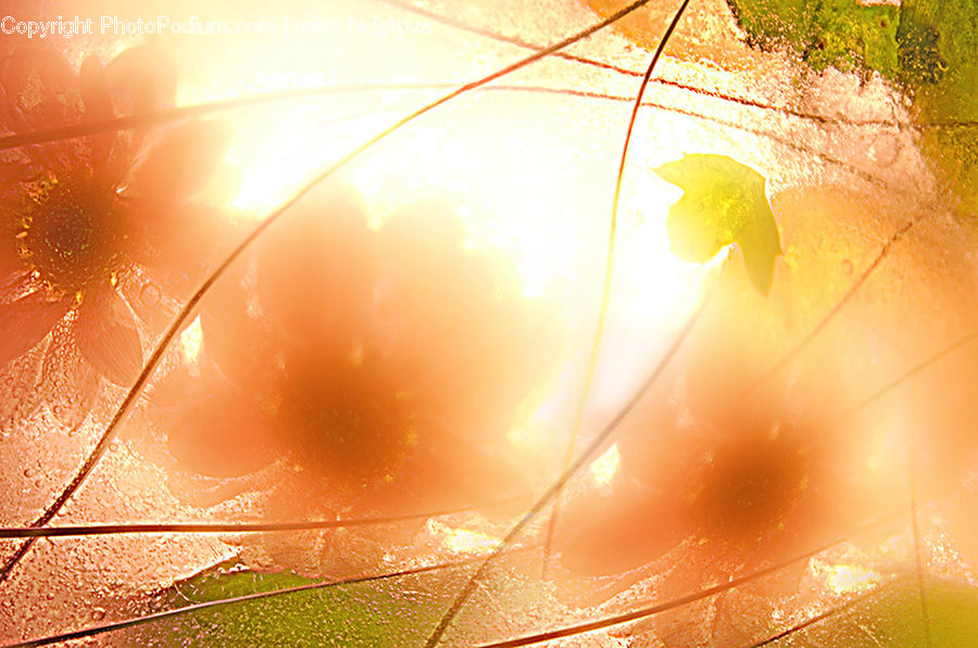 Flare, Light