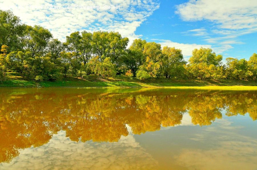 Outdoors, Pond, Water, Field, Grass, Grassland, Plant