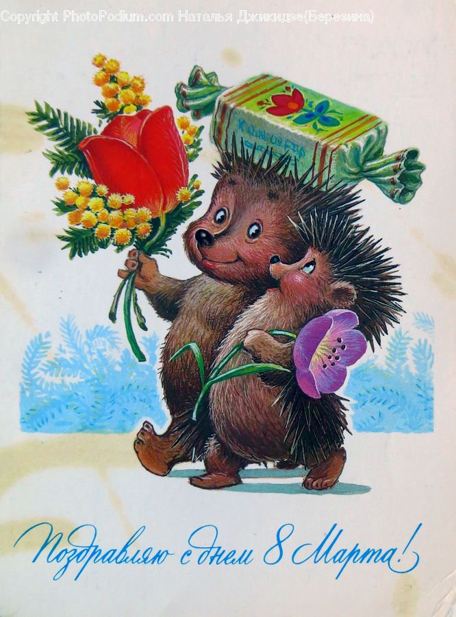 Flower, Flower Arrangement, Flower Bouquet, Collage, Poster, Ikebana, Plant