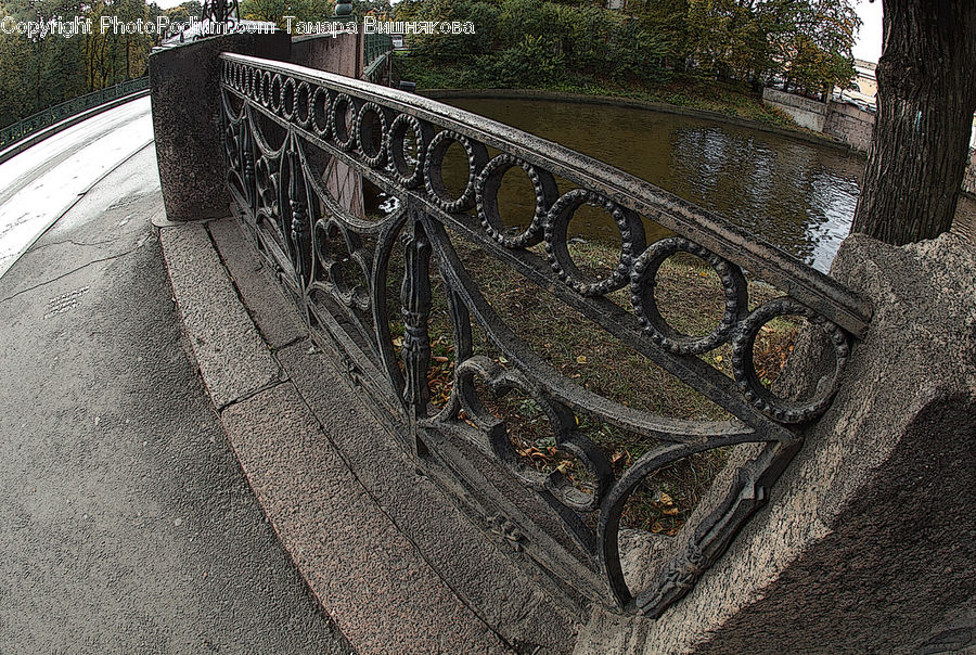 Oak, Tree, Wood, Plant, Water, Boardwalk, Deck