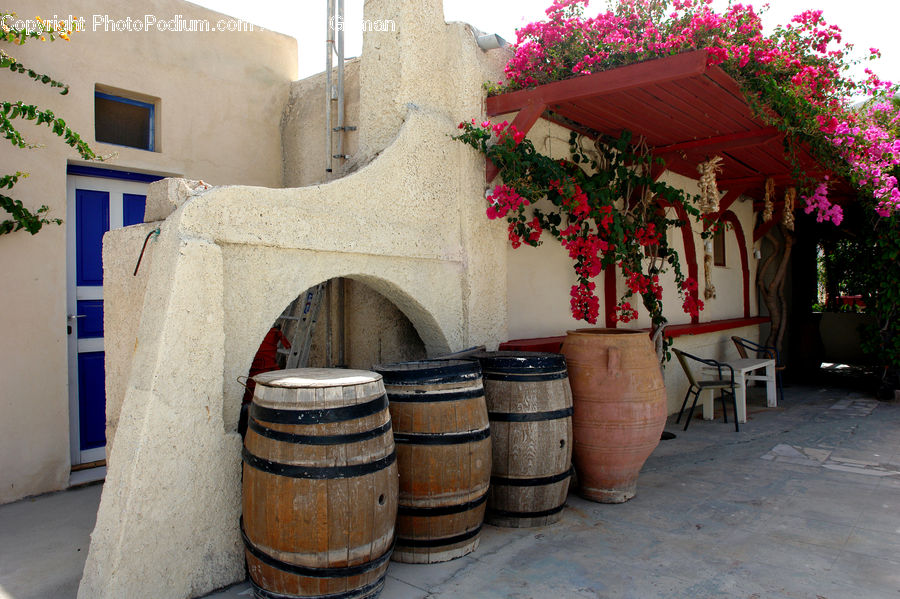 Plant, Potted Plant, Chair, Furniture, Barrel, Pot, Pottery