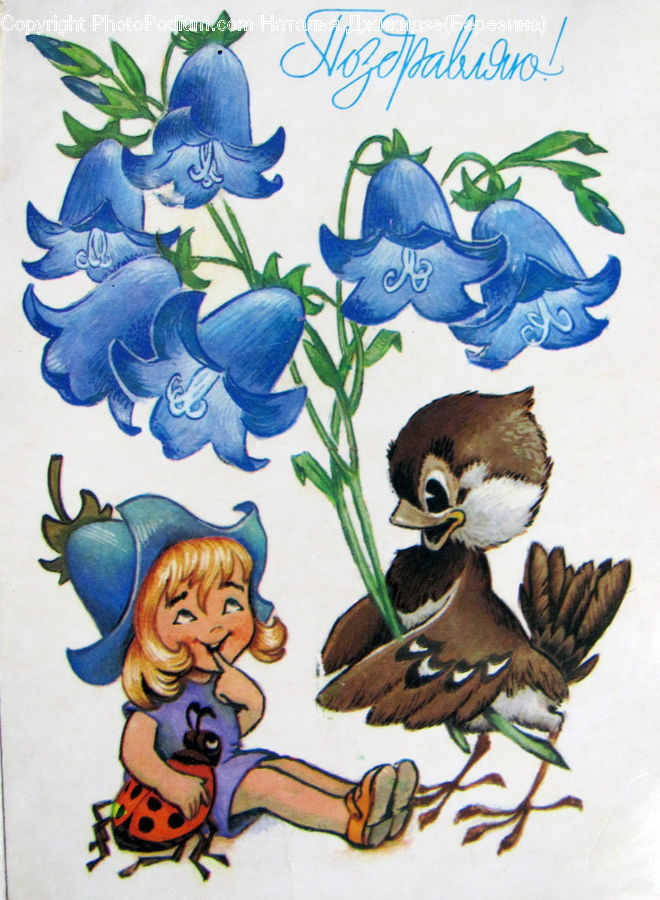 Art, Drawing, Bird, Duck, Teal, Waterfowl, Food
