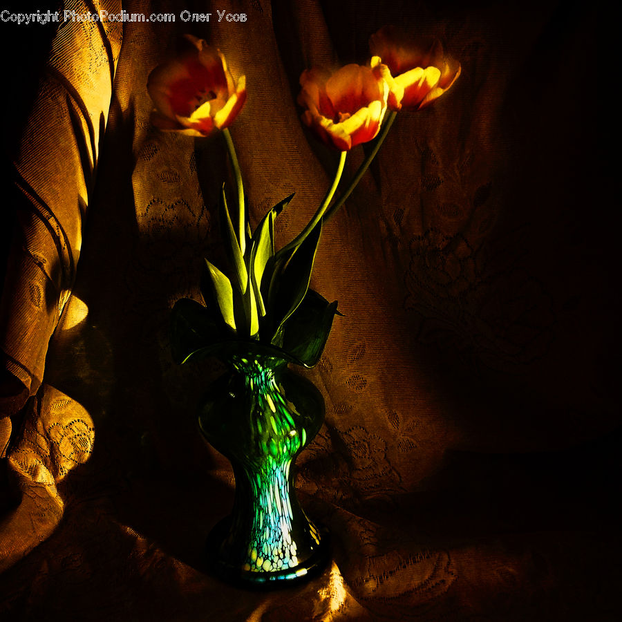 People, Person, Human, Flower Arrangement, Ikebana, Plant, Potted Plant